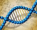Importância da Biologia Por que é importante a biologia?