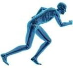 O Corpo Humano Fatos Estranhos sobre o Corpo Humano