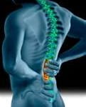 Coluna Vertebral Coluna Vertebral