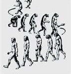 Evolução Teoria da Evolução