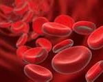 Hemoglobina Hemoglobina