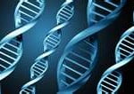 DNA Sequenciamento de DNA