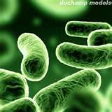 Aparelho de Golgi
