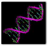 Código Genético Humano