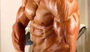 O Músculo mais forte do corpo humano