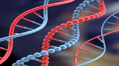 composição genética na Saúde