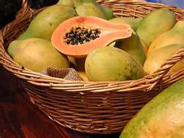 Os Benefícios do Mamão