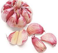 Como usar o alho como um antibiotico natural