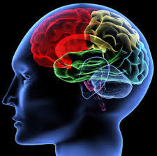 Meningite