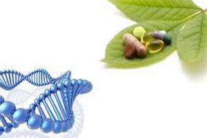 Terapia Ortomolecular